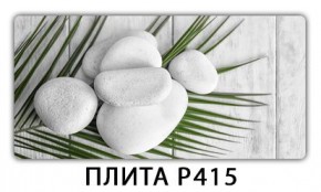 Стол раздвижной-бабочка Бриз с фотопечатью Доска D113 в Новом Уренгое - novyy-urengoy.mebel24.online | фото 5