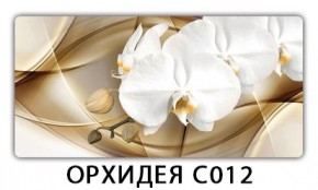 Стол раздвижной Трилогия с фотопечатью Доска D110 в Новом Уренгое - novyy-urengoy.mebel24.online | фото 13