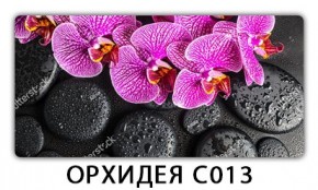 Стол раздвижной Трилогия с фотопечатью Доска D110 в Новом Уренгое - novyy-urengoy.mebel24.online | фото 14