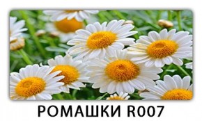 Стол раздвижной Трилогия с фотопечатью Доска D110 в Новом Уренгое - novyy-urengoy.mebel24.online | фото 15