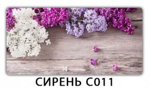 Стол раздвижной Трилогия с фотопечатью Доска D110 в Новом Уренгое - novyy-urengoy.mebel24.online | фото 16