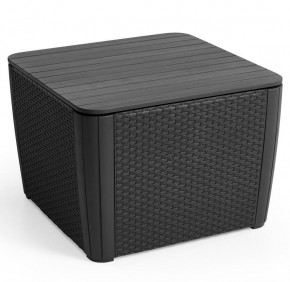 Стол-сундук Лузон Плюс (Luzon Plus Flat Wicker), графит в Новом Уренгое - novyy-urengoy.mebel24.online | фото 3