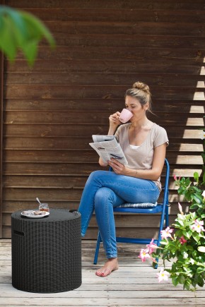 Столик-холодильник Кул-Стул (Cool stool) коричневый в Новом Уренгое - novyy-urengoy.mebel24.online | фото 2