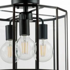 Светильник на штанге Lightstar Genni 798237 в Новом Уренгое - novyy-urengoy.mebel24.online | фото 4
