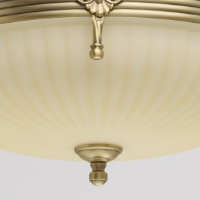 Светильник на штанге MW-Light Афродита 1 317011504 в Новом Уренгое - novyy-urengoy.mebel24.online | фото 4