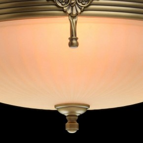 Светильник на штанге MW-Light Афродита 1 317011504 в Новом Уренгое - novyy-urengoy.mebel24.online | фото 5