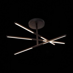 Светильник на штанге ST-Luce Ralio SL1580.403.03 в Новом Уренгое - novyy-urengoy.mebel24.online | фото 3
