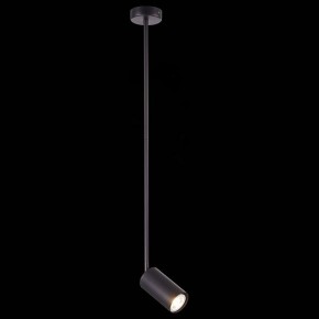 Светильник на штанге ST-Luce Sormano SL1206.403.01 в Новом Уренгое - novyy-urengoy.mebel24.online | фото 3