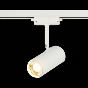 Светильник на штанге ST-Luce Zoom ST600.536.12 в Новом Уренгое - novyy-urengoy.mebel24.online | фото 4
