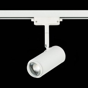 Светильник на штанге ST-Luce Zoom ST600.536.12 в Новом Уренгое - novyy-urengoy.mebel24.online | фото 5
