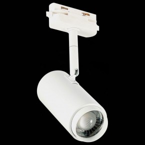 Светильник на штанге ST-Luce Zoom ST600.536.12 в Новом Уренгое - novyy-urengoy.mebel24.online | фото 6