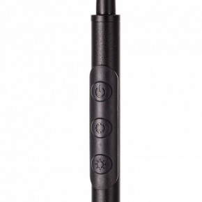 Торшер Citilux Alex CL804051 в Новом Уренгое - novyy-urengoy.mebel24.online | фото 4