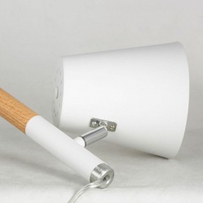 Торшер Lussole Buckeye LSP-0628 в Новом Уренгое - novyy-urengoy.mebel24.online | фото 4