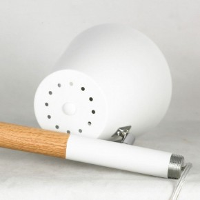 Торшер Lussole Buckeye LSP-0628 в Новом Уренгое - novyy-urengoy.mebel24.online | фото 5