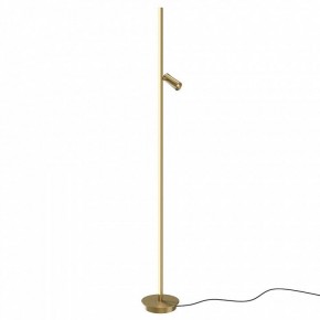 Торшер Maytoni Thin MOD395FL-L28BS3K в Новом Уренгое - novyy-urengoy.mebel24.online | фото