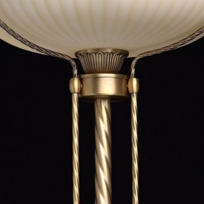 Торшер MW-Light Афродита 1 317040901 в Новом Уренгое - novyy-urengoy.mebel24.online | фото 6
