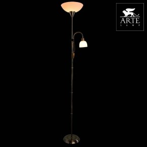 Торшер с подсветкой Arte Lamp Duetto A9569PN-2AB в Новом Уренгое - novyy-urengoy.mebel24.online | фото 3