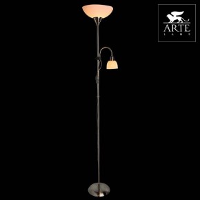 Торшер с подсветкой Arte Lamp Duetto A9569PN-2SS в Новом Уренгое - novyy-urengoy.mebel24.online | фото 3