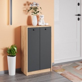 Тумба для обуви Рино в Новом Уренгое - novyy-urengoy.mebel24.online | фото 3