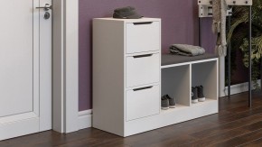 Тумба для обуви Тип 14 в Новом Уренгое - novyy-urengoy.mebel24.online | фото 5