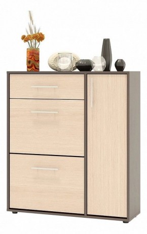 Тумба для обуви ТП-4 в Новом Уренгое - novyy-urengoy.mebel24.online | фото