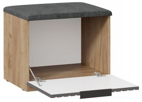 Тумбочка для обуви Хилтон Исп 2.1 в Новом Уренгое - novyy-urengoy.mebel24.online | фото 2