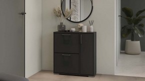 Тумбочка для обуви Тип 15 в Новом Уренгое - novyy-urengoy.mebel24.online | фото 5