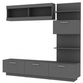 ТВ стенка TV48 (Графит) в Новом Уренгое - novyy-urengoy.mebel24.online | фото