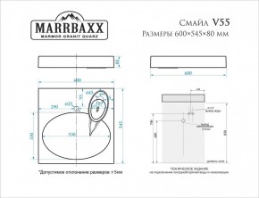 Умывальник над стиральной машиной (600*545*80) Смайл V55D1 (белый) с кронштейном без сифона (V55D1) в Новом Уренгое - novyy-urengoy.mebel24.online | фото 2